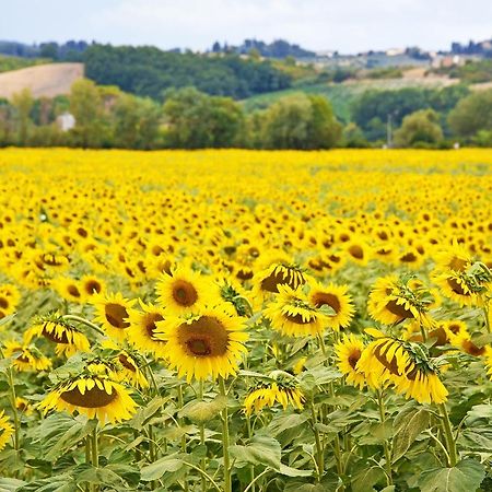 Agriturismo Tre Madonne Монтериджиони Экстерьер фото