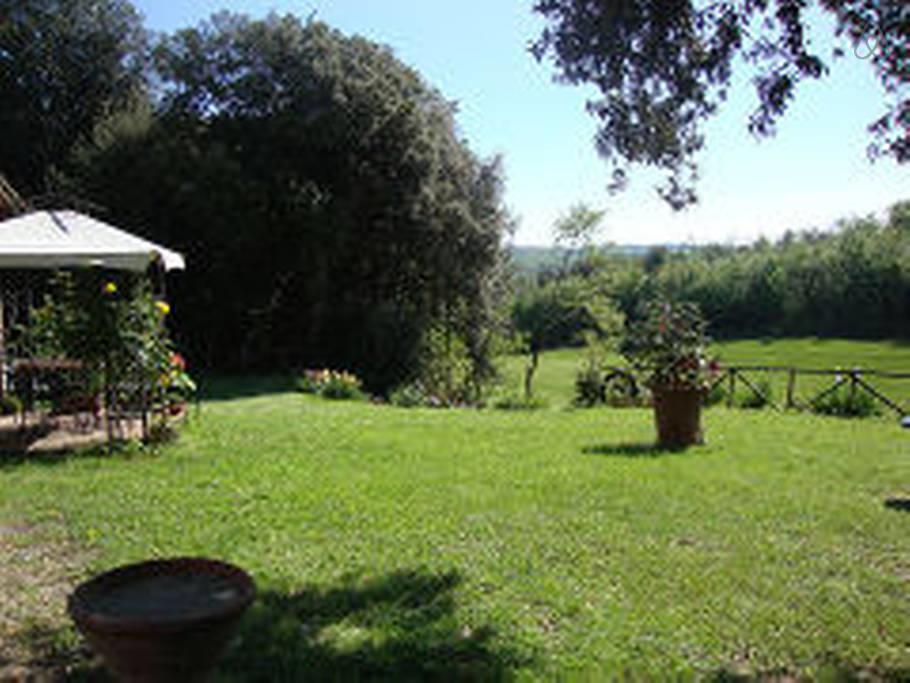 Agriturismo Tre Madonne Монтериджиони Номер фото