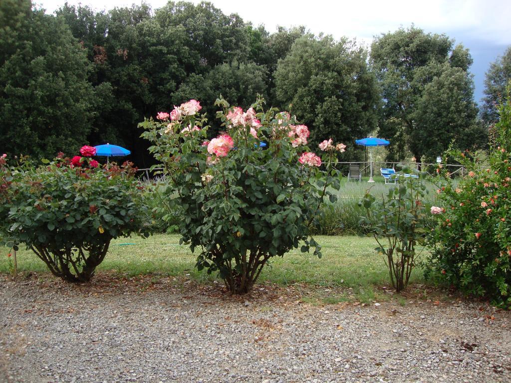 Agriturismo Tre Madonne Монтериджиони Номер фото