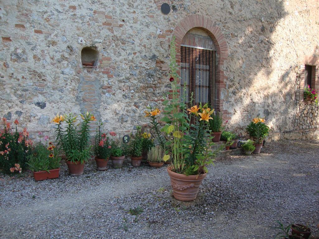 Agriturismo Tre Madonne Монтериджиони Номер фото